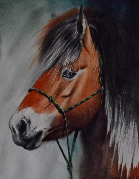 The beauty of the Norwegian Fjord horse, 38cm x 28cm, 2020