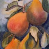 Comice Pears - SOLD