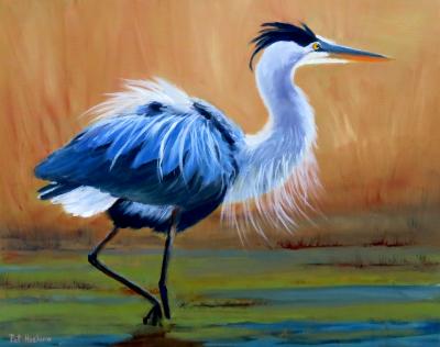 Great Blue Heron Great Blue Heron
