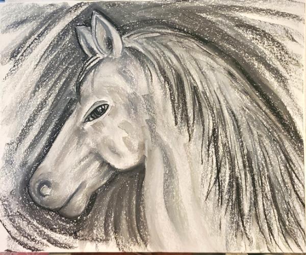 Horse in Grayscale 