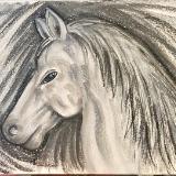 Horse in Grayscale 