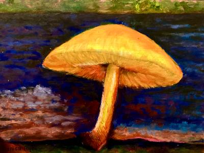 Large yellow mushroom 