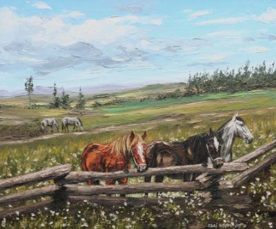 Horses field, 60cm x 40cm, 2012 Horses field, 60cm x 40cm, 2012