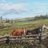 Horses field, 60cm x 40cm, 2012