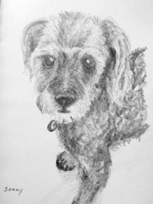 Sammy 5x7 paper in graphites 