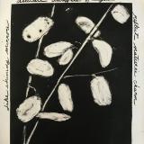 Lunaria 53: Nature's Charm