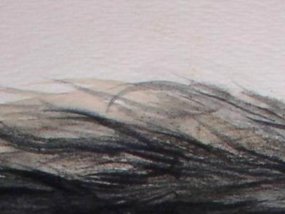 Jan Rawlins-Artist - fine art