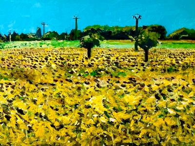 The sunflower fields of Normandy, acrylic on canvas, 60cm x 40cm