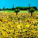 The sunflower fields of Normandy, acrylic on canvas, 60cm x 40cm