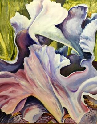 Iris with Bird