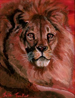 Lion Lion
