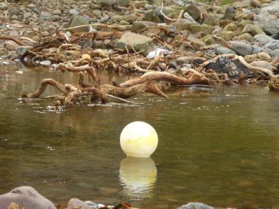 Floating Ball Floating Ball