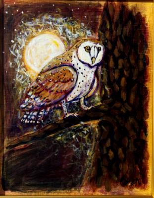 Little Owl in the Moonlight Little Owl in the Moonlight