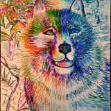 katnaj Artworks    *Colors in Harmony*   Earth,  Life,  Nature