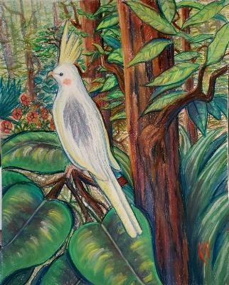 Cockatiel in Jungle