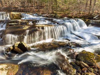 Forest and Falls on Stony Clove Creek Forest and Falls on Stony Clove Creek