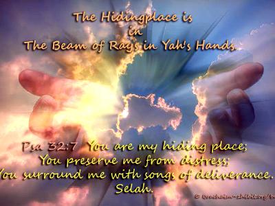 The Hidingplace The Hidingplace