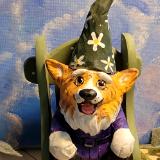 Corgling Gnome Sorrel