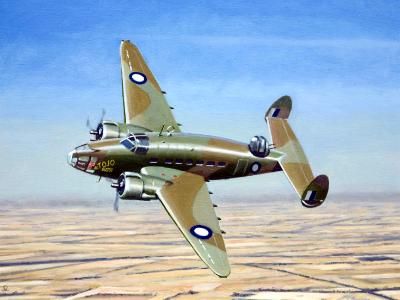 Temora's Hudson Temora's Hudson