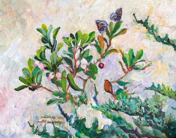 Hoary Elfins on Bearberry