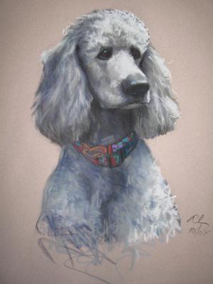 Pastel 18x24 Pastel 18x24