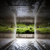 Maltnoma Falls Tunnel