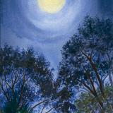Terry Durell Art