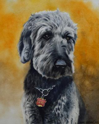 Custom portrait of a dog, 35cm x 50cm, 2019 Custom portrait of a dog, 35cm x 50cm, 2019