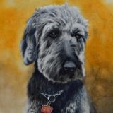 Custom portrait of a dog, 35cm x 50cm, 2019