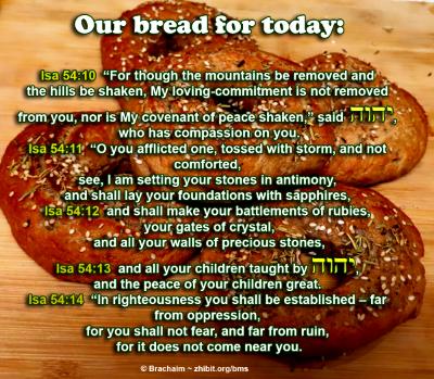 Our bread Our bread