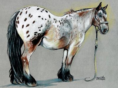 Clydaloosa Clydaloosa