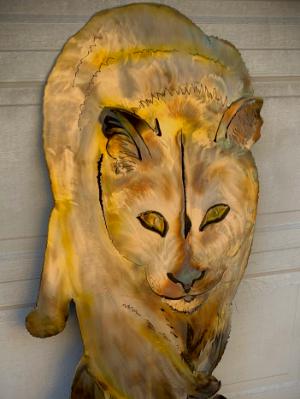 Golden Cougar Golden Cougar