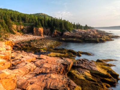 Acadia Morning at Monument Cove
