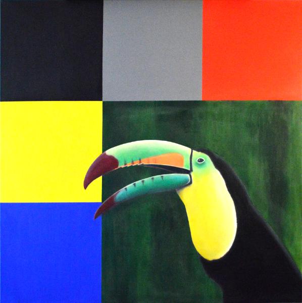 Toucan I