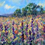 A colorful Dream  