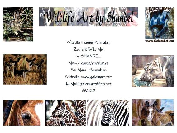 Note Cards: Zoo and Wild Mix