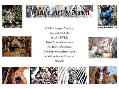 Note Cards: Zoo and Wild Mix