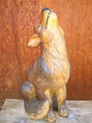 Coyote Coyote
