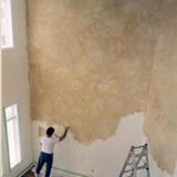 Two colour paint finish