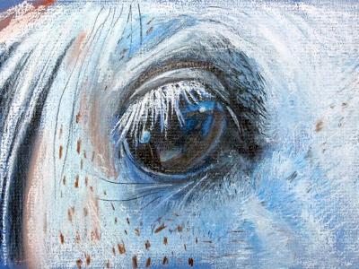 Graybar's Eye Graybar's Eye