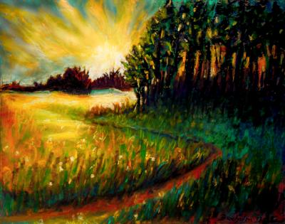 Fieldborder  Sunset