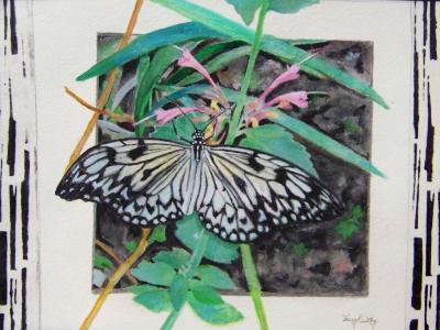 Butterfly Window - Framed