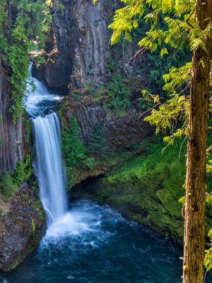 Silky Toketee Falls Framed by Tree Silky Toketee Falls Framed by Tree