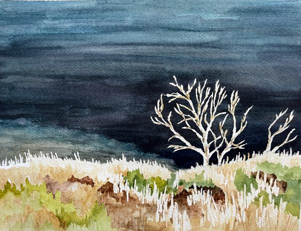 Skeleton Tree, San Joaquin Ridge,  Mammoth