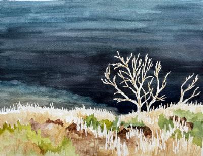 Skeleton Tree, San Joaquin Ridge,  Mammoth