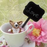 This is Thistledown the tea cup Corgi