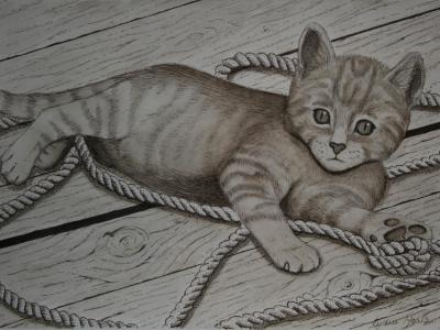 Kitty Tangler