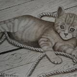 Kitty Tangler