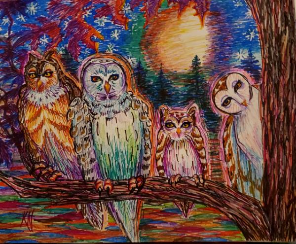 Owl City