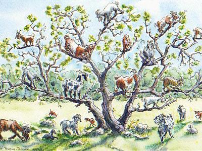 Another Goat Tree